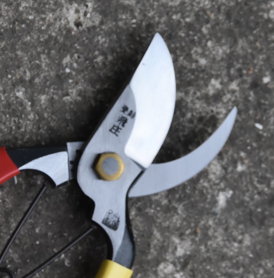 造園道具.com / 飛庄剪定鋏 SR-1型