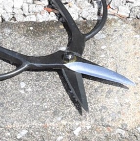 造園道具.com / 鋏正宗 植木鋏90mm 青紙ネジ No.203