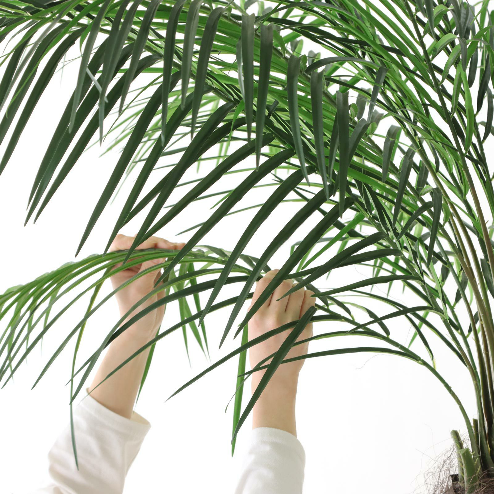 No9275 プレミアム光触媒フェイクグリーン「圧巻のスケール感