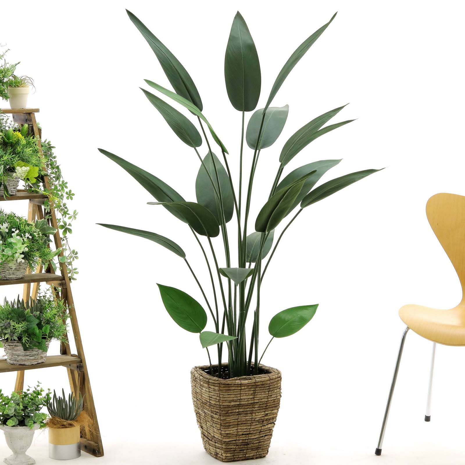 光触媒 人工観葉植物 ウォールグリーン フェイクグリーン ストレチアW1