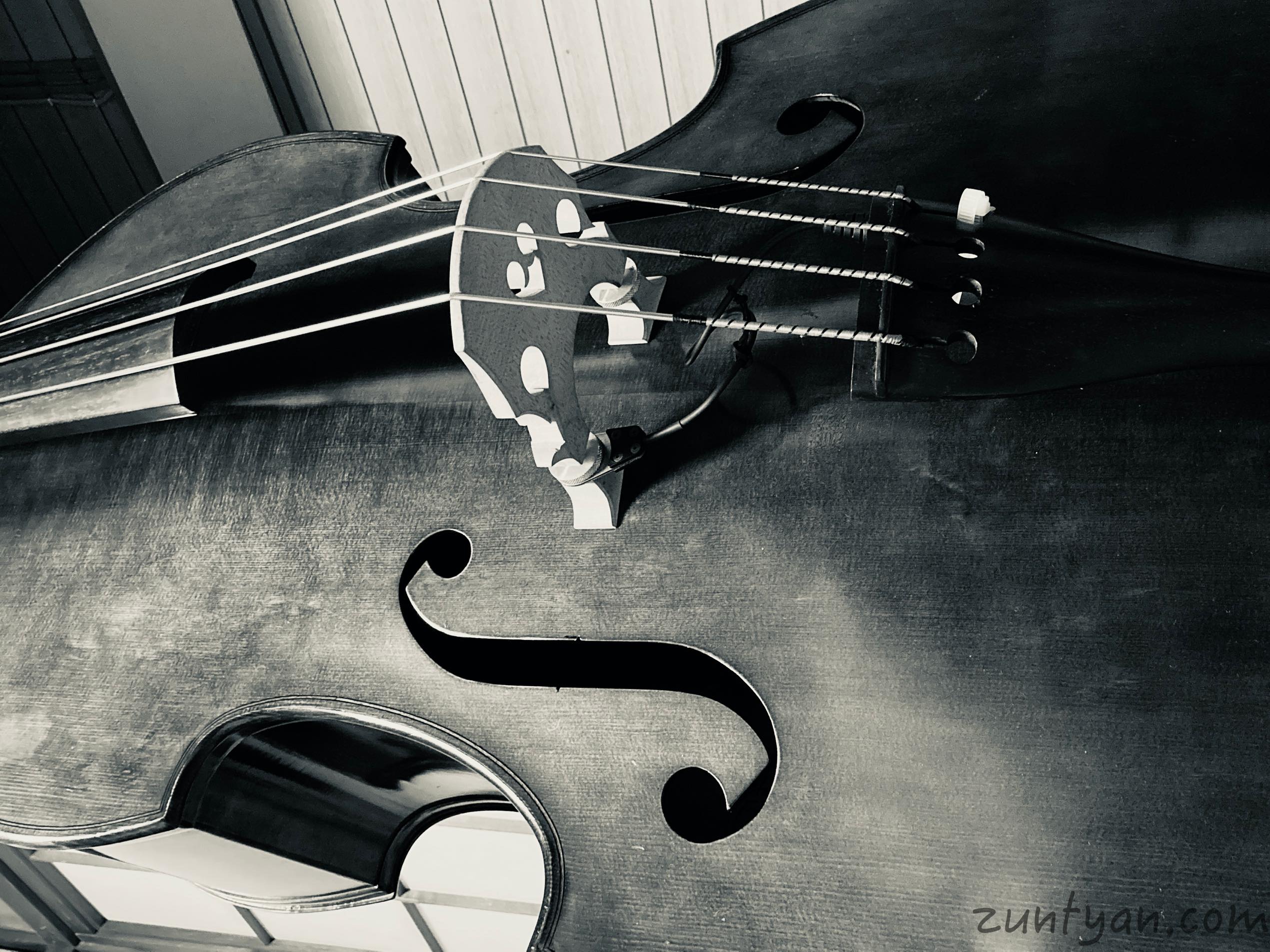 REALIST（レアリスト）LIFELINE ウッドベース用ピックアップ - zuntyan.com