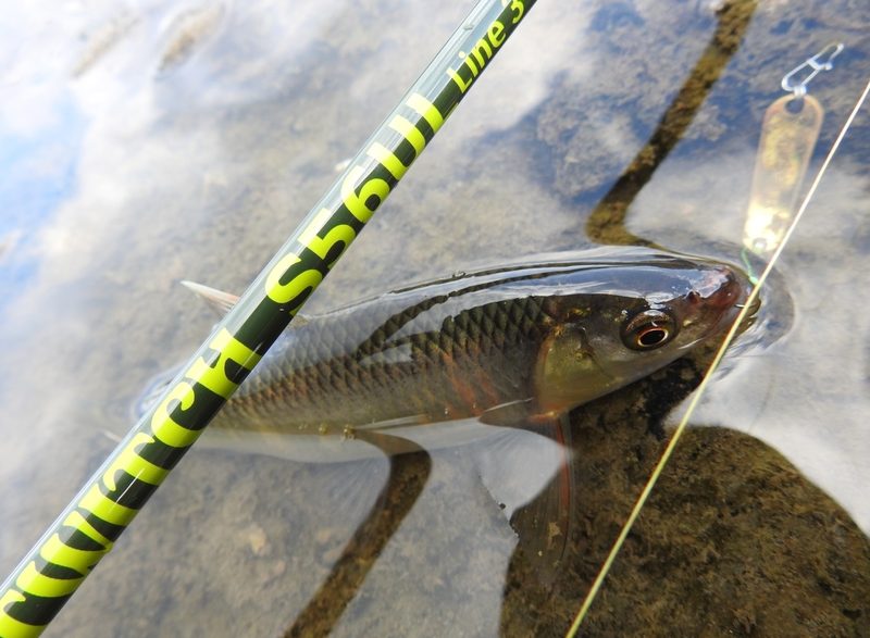 Shoots TWITCH S56UL – AGO-Products