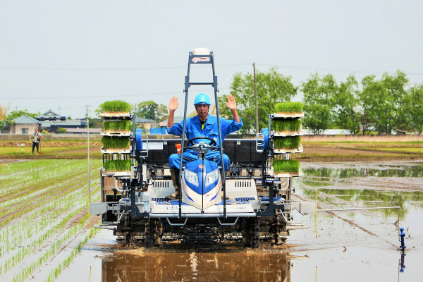 田植機の役割とは？メーカーの種類と一押しモデル｜マイナビ農業