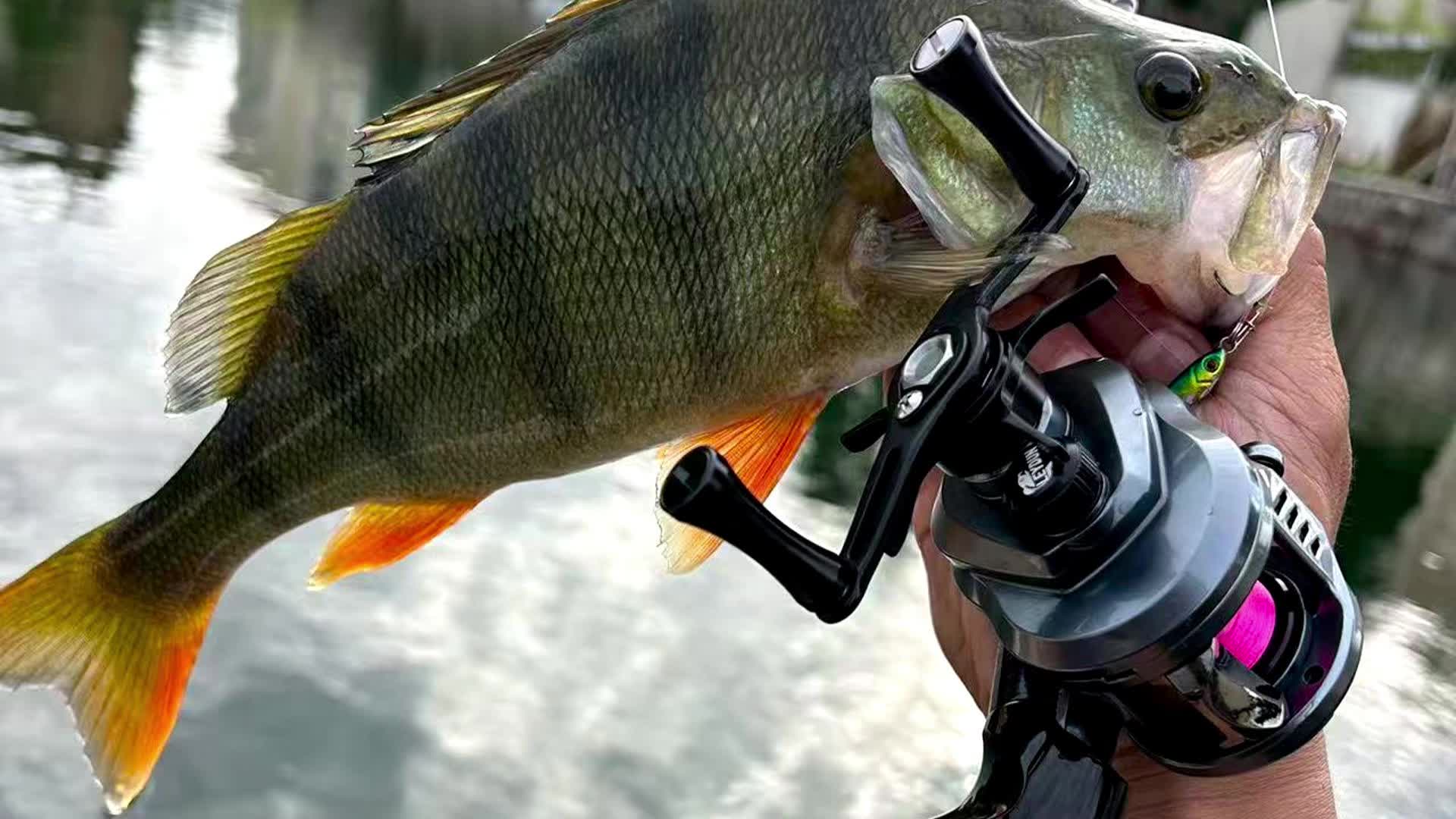 Leydun 新しいウソップ ベイトキャスティング フィッシング リール 125