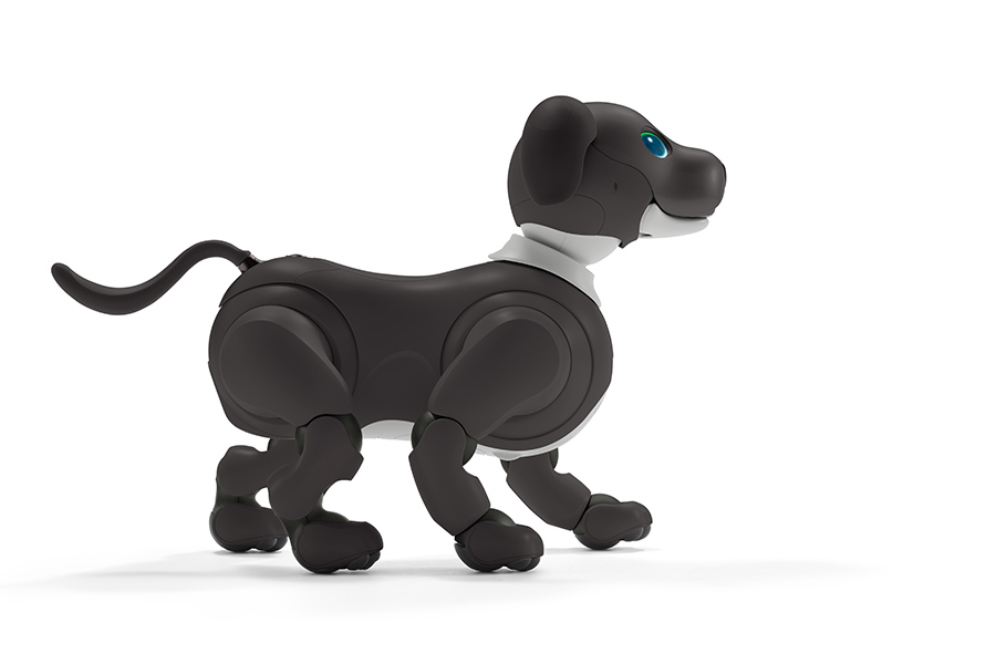 aibo エスプレッソ エディション | aibo