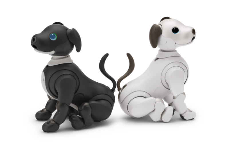 aibo エスプレッソ エディション | aibo