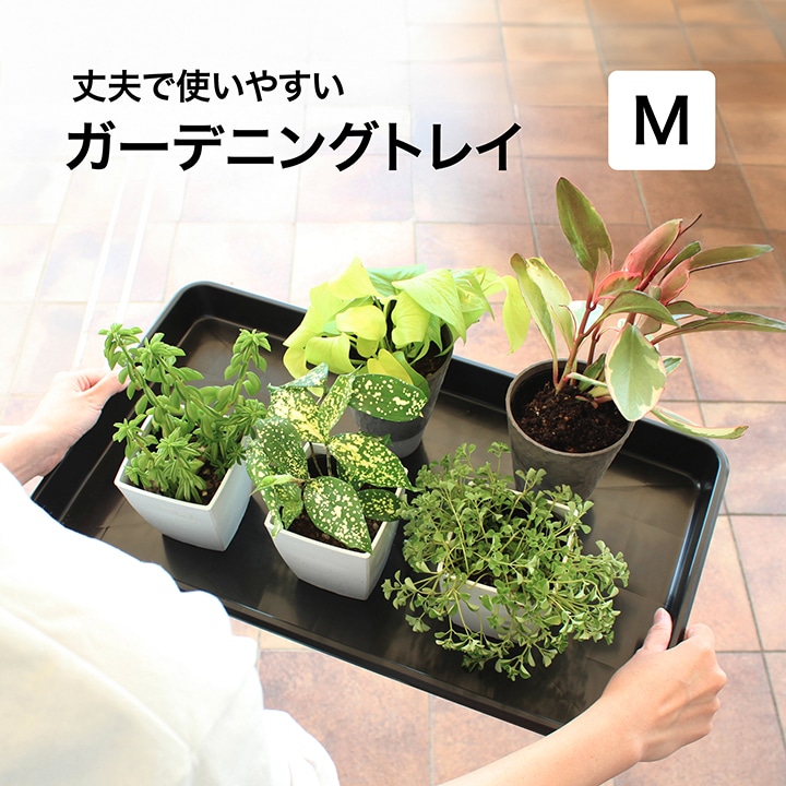 ガーデニングトレイ M /A: ガーデンツール | タカショー ホームユース