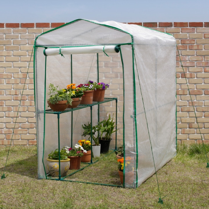 ビニール温室 特大 GRH-N06T 4975149568192