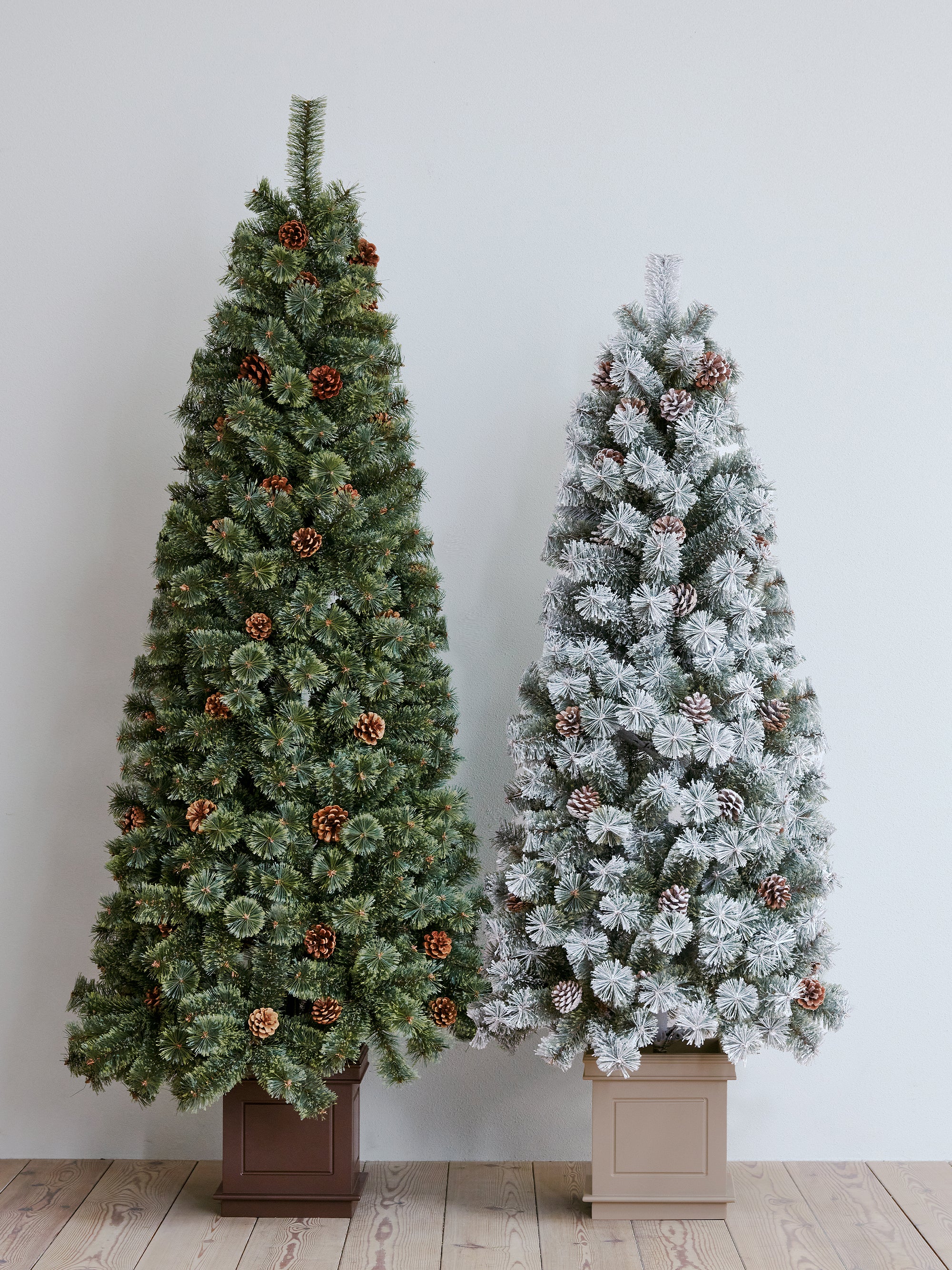 アルザスツリー ポット 樅 – alsace_tree