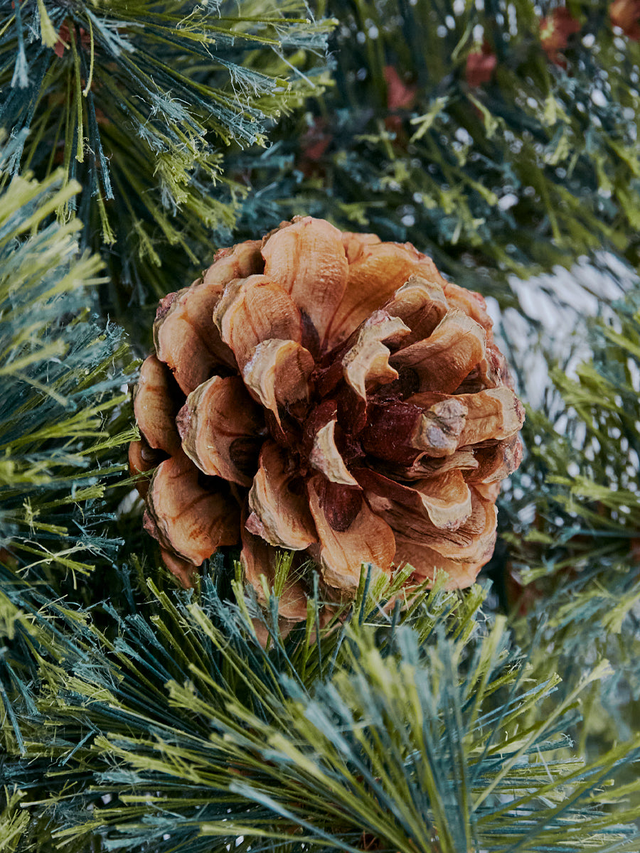 アルザスツリー ハーフ 樅 – alsace_tree