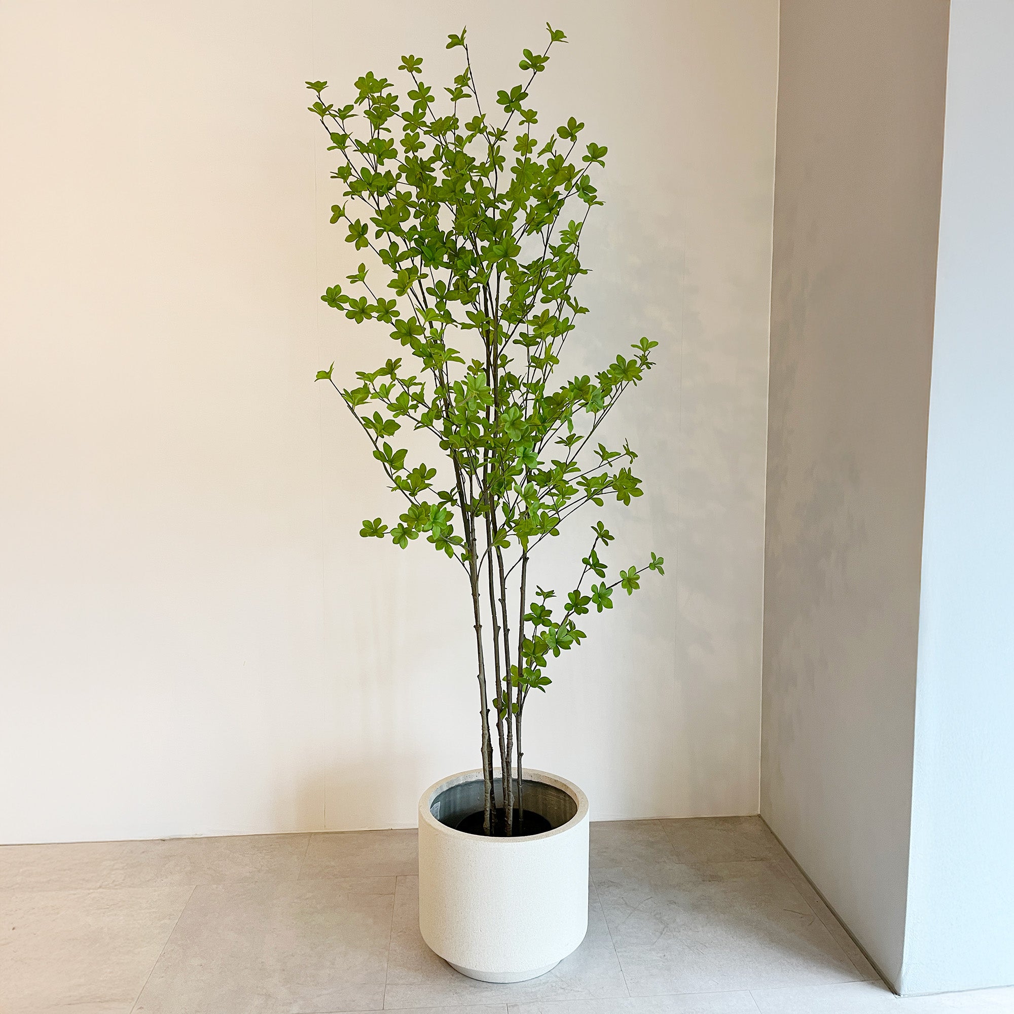 ドウダンツツジ 180cm- フェイクグリーン専用通販サイト – フェイク