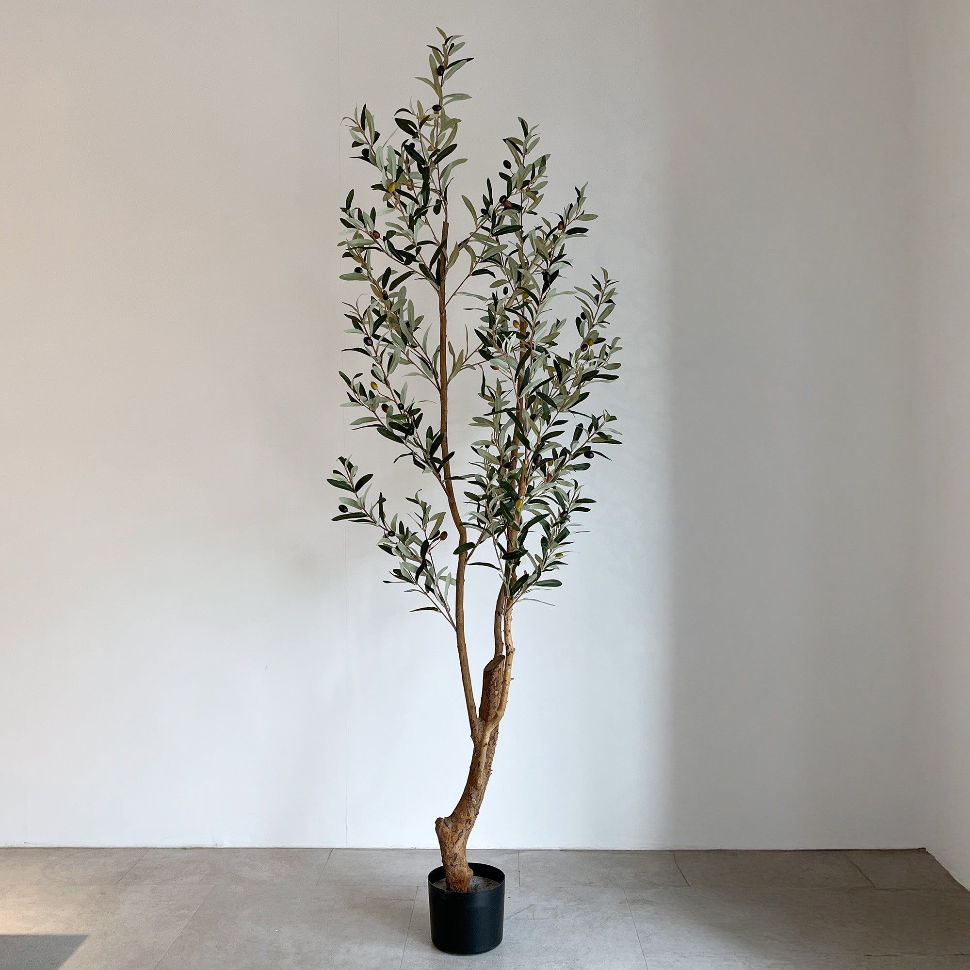 オリーブの木 180cm- フェイクグリーン専用通販サイト – フェイク
