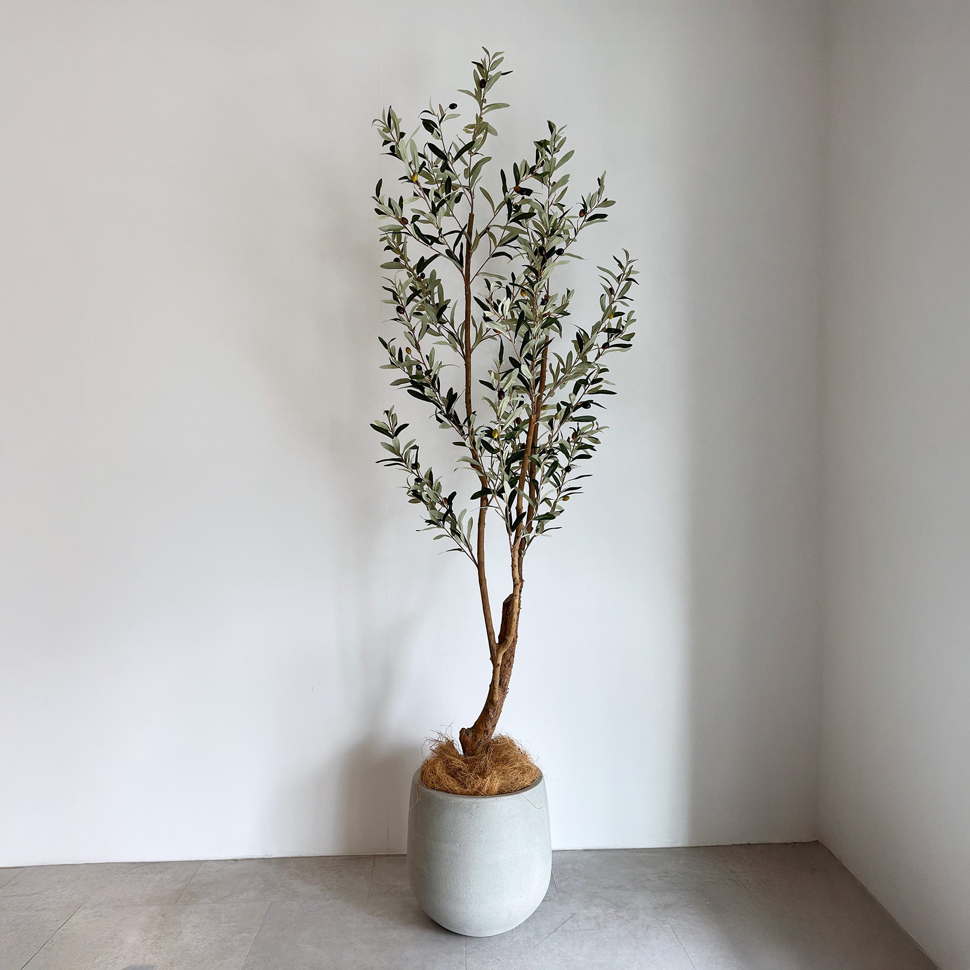 オリーブの木 180cm- フェイクグリーン専用通販サイト – フェイク