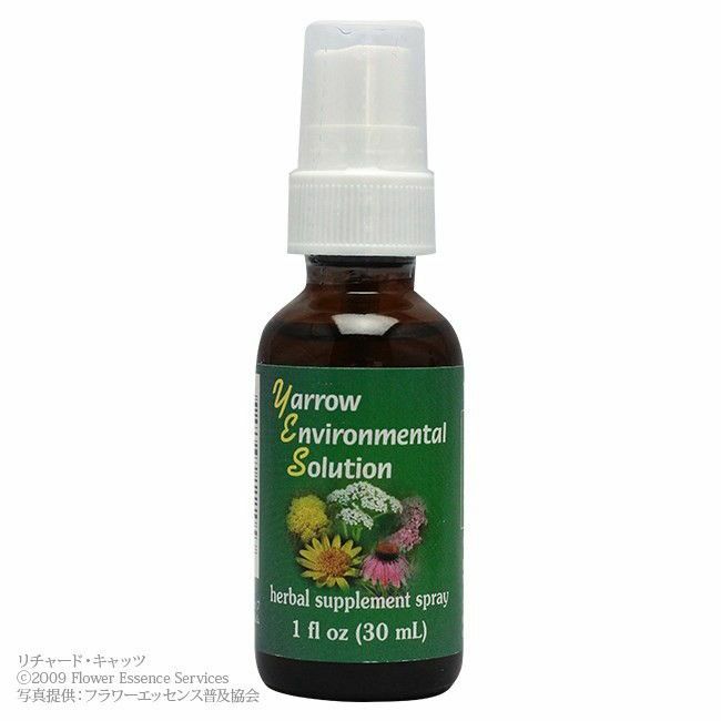 FES 「ベビーブルーアイズ」 | ナチュラルセラピーSHOPアンジェリ