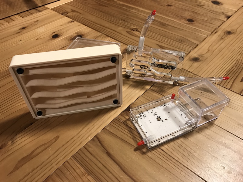 アリ飼育ケースの使用感レビュー！ ｜Large Hybrid Nest ハイブリッド