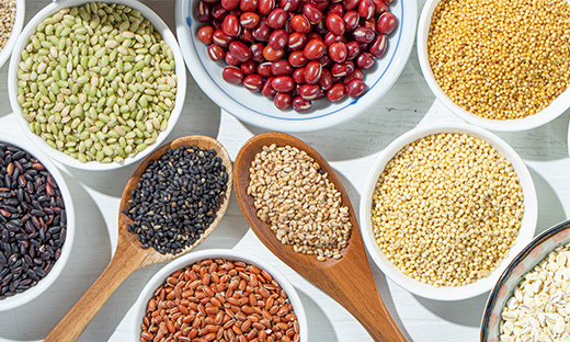 ORCIANIST(オルチャ二スト)|ファビウス公式オンラインショップ