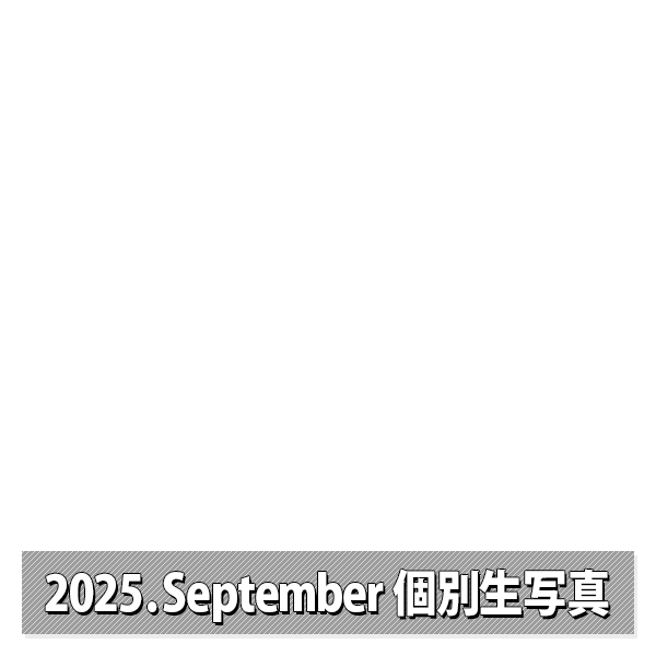 NMB48 OFFICIAL GOODS STORE