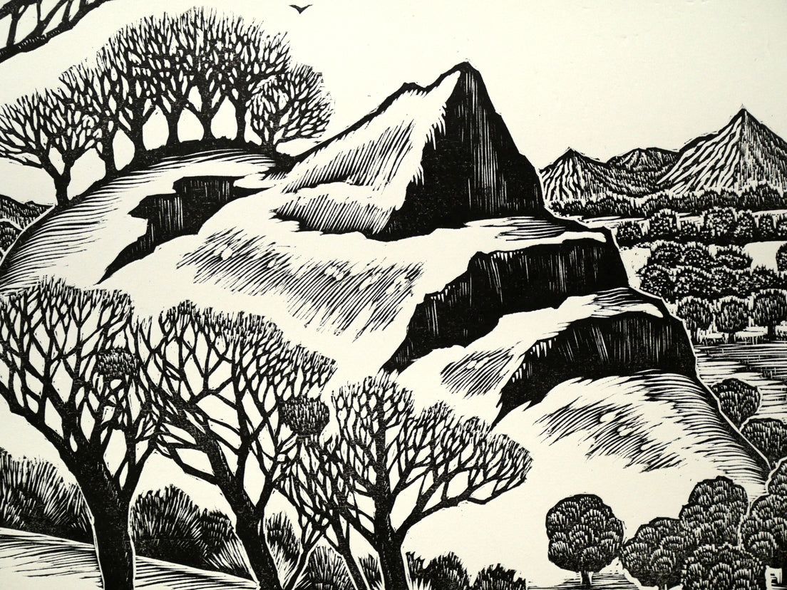 徳力富吉郎 木版画 限定E.A/200部 いきいき富山四景 多色摺【CM359