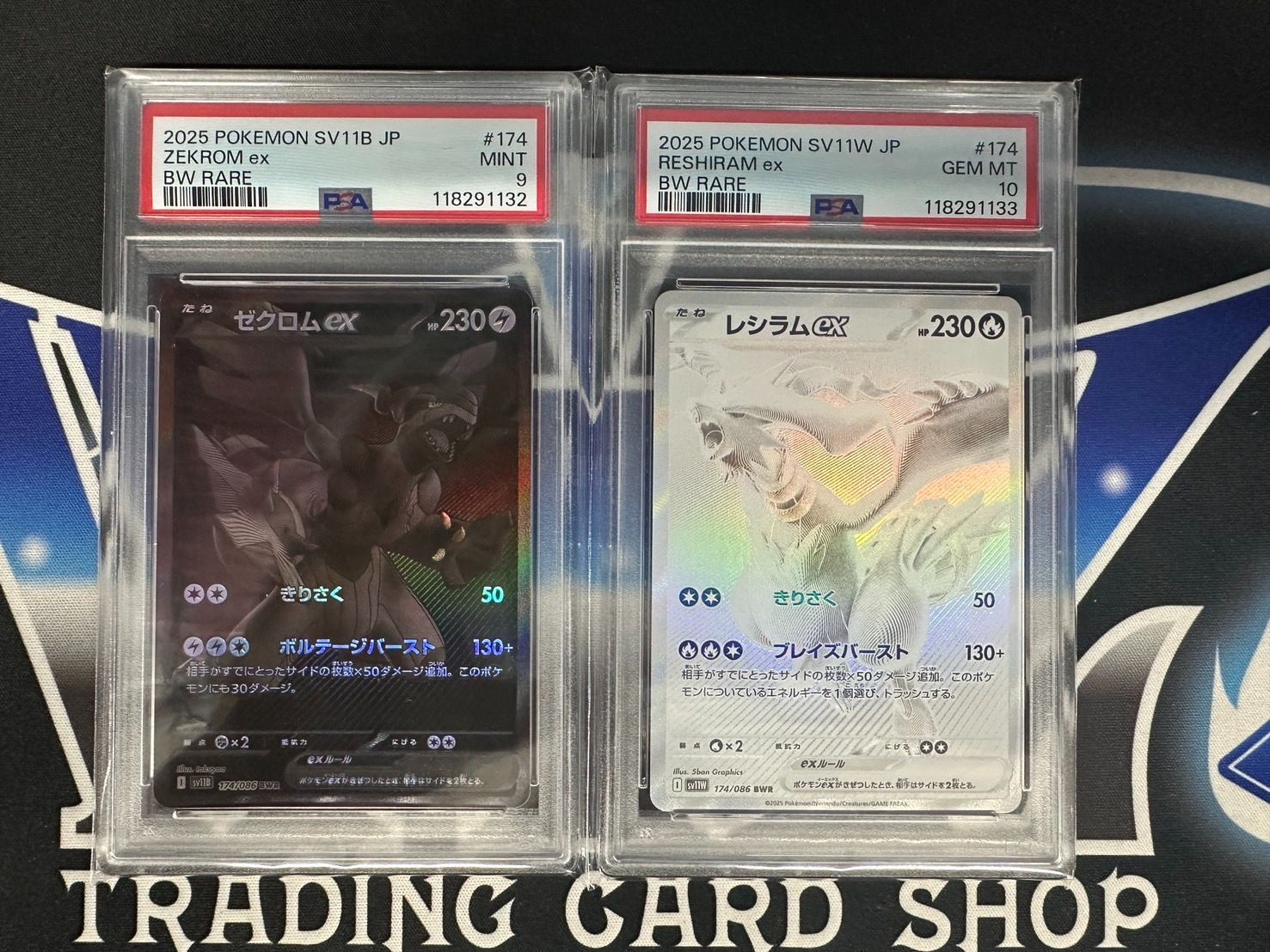 ポケモンカード レシラムex BWR 【PSA10】 PSA10】ポケモンカード