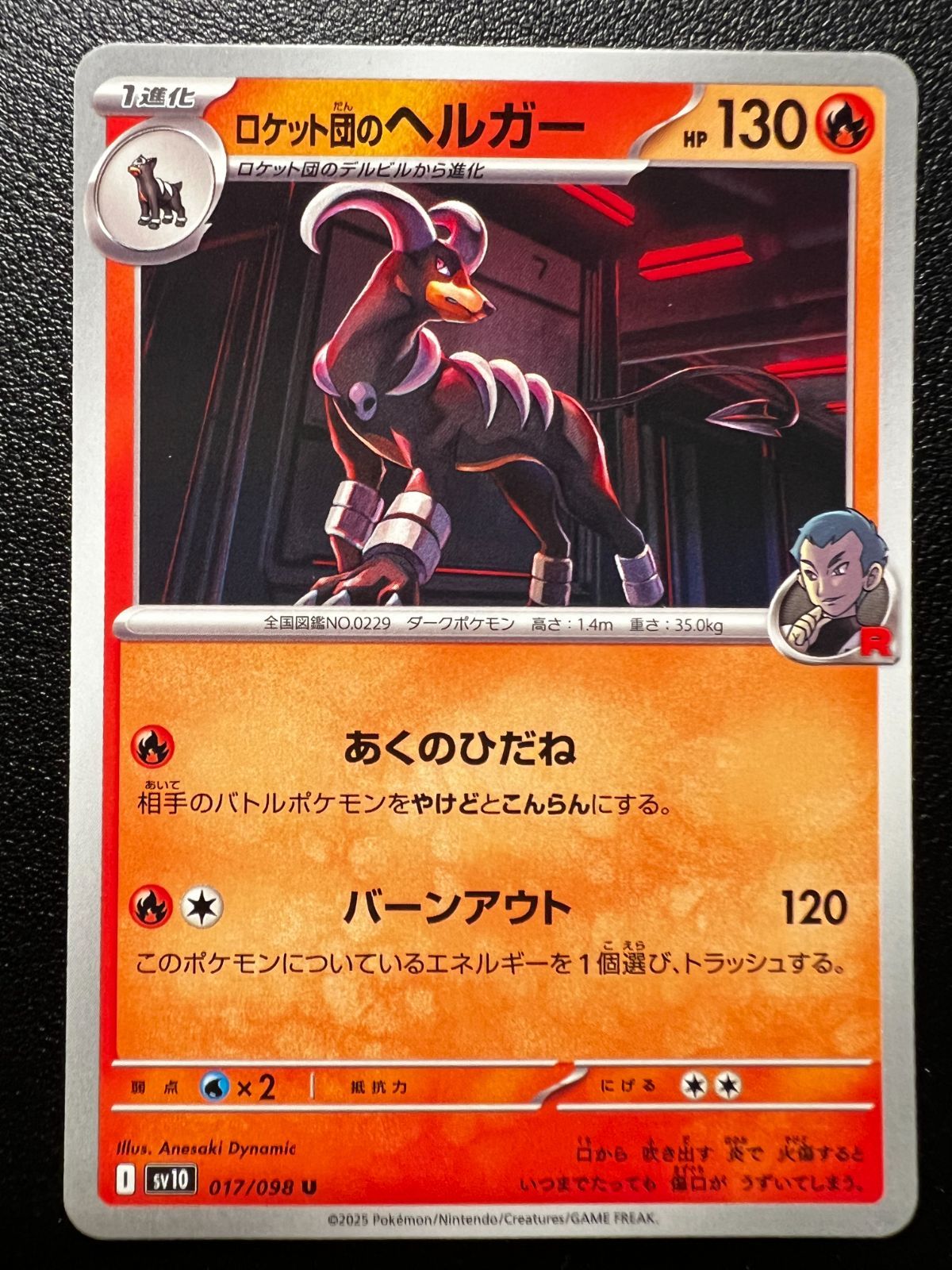 psa10】ヘルガー グレート L2 008/019 Pokemon L2 008/019 ヘルガー