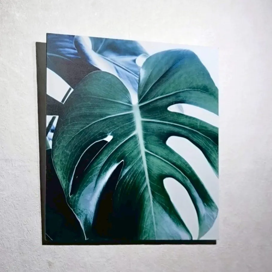 Boconcept アートフレーム Silent art ギャラリー | Gallery | Silent