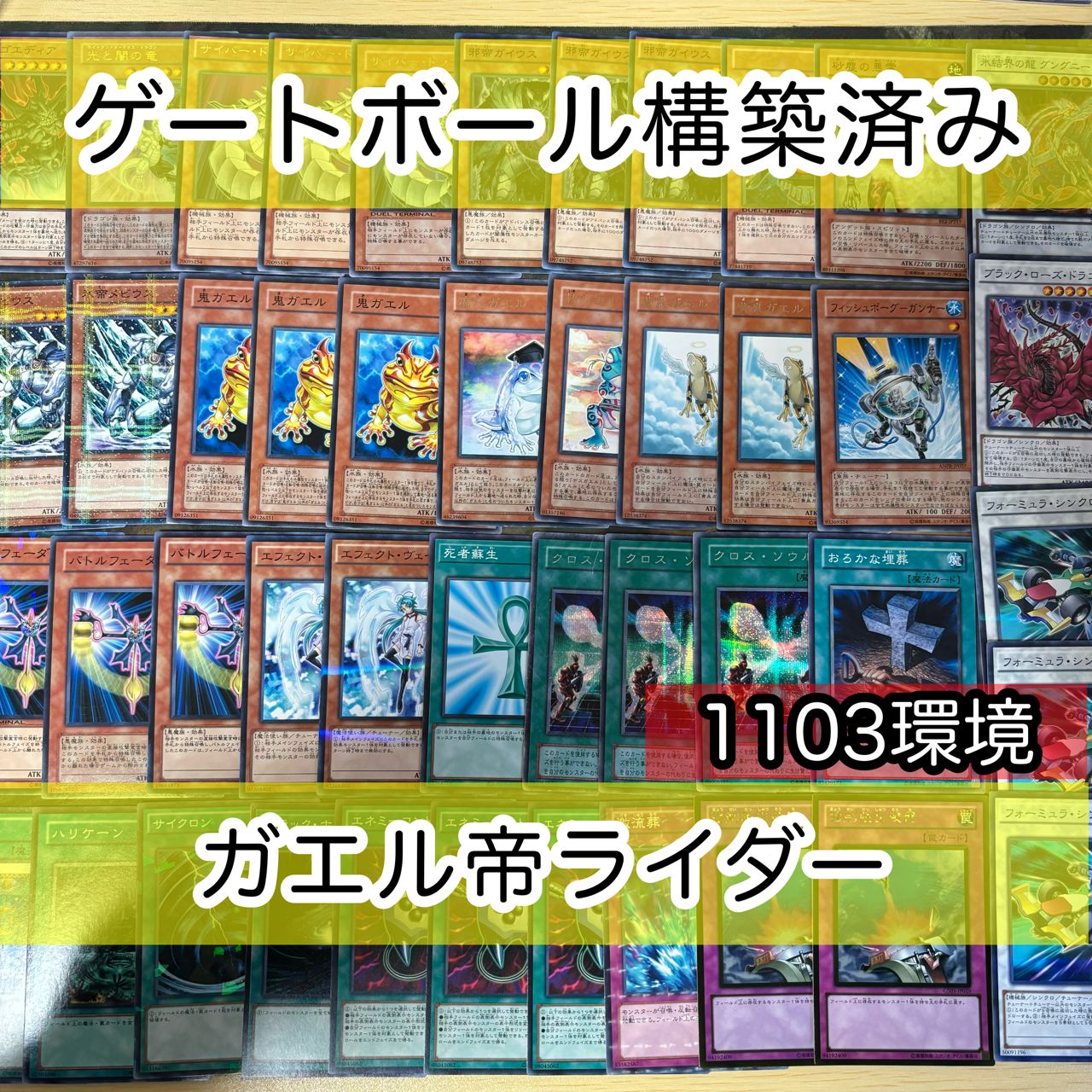 ガエル帝 ライダー 1103環境 ゲートボール 遊戯王 構築済みデッキ