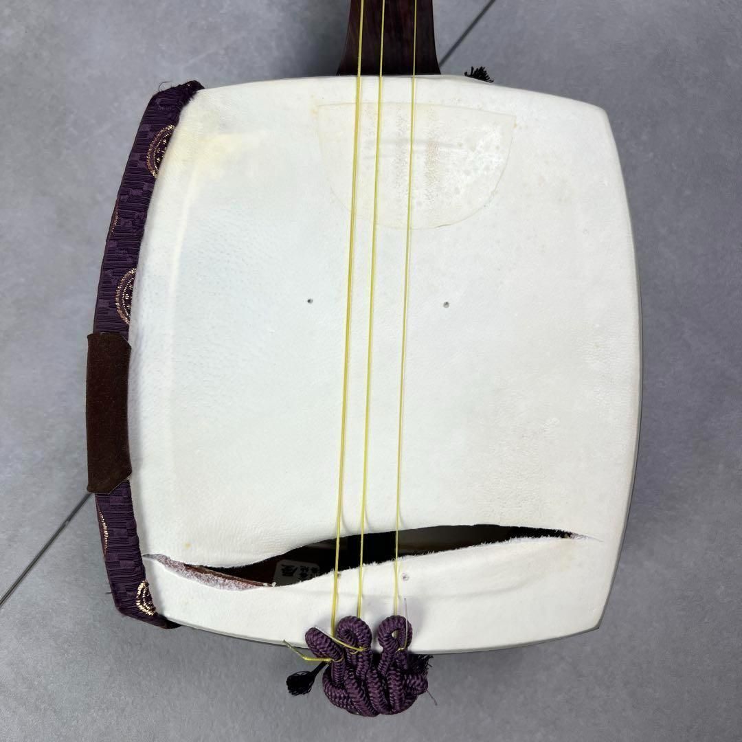 しんぞー三味線 紅木 1本溝 子持綾杉胴 東さわり 糸巻素六黒檀 付き