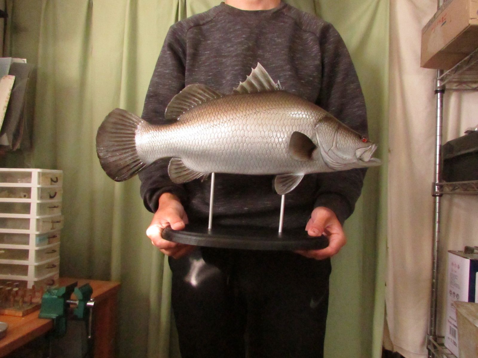 ハンドメイド DIY 50cmアカメ 怪魚釣り フィギュア 魚模型