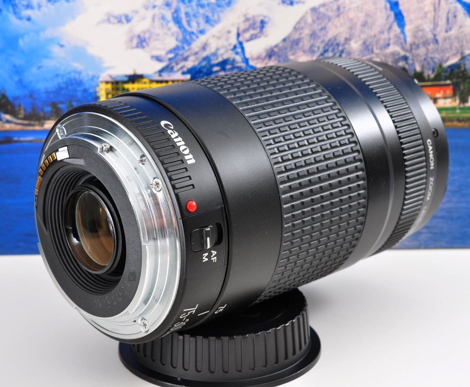 ❤️スポーツ観戦や野鳥撮影に❤️Canon EF-S 55-250mm IS STM