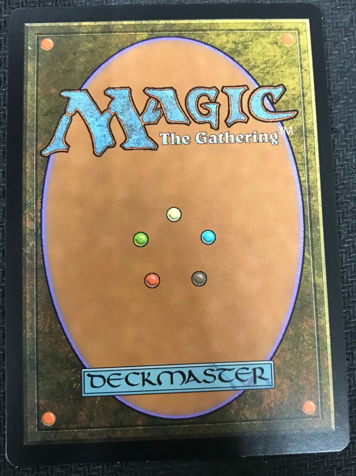 MTG 不毛の大地 英語 Wasteland Foil EPX エクスペディション - メルカリ