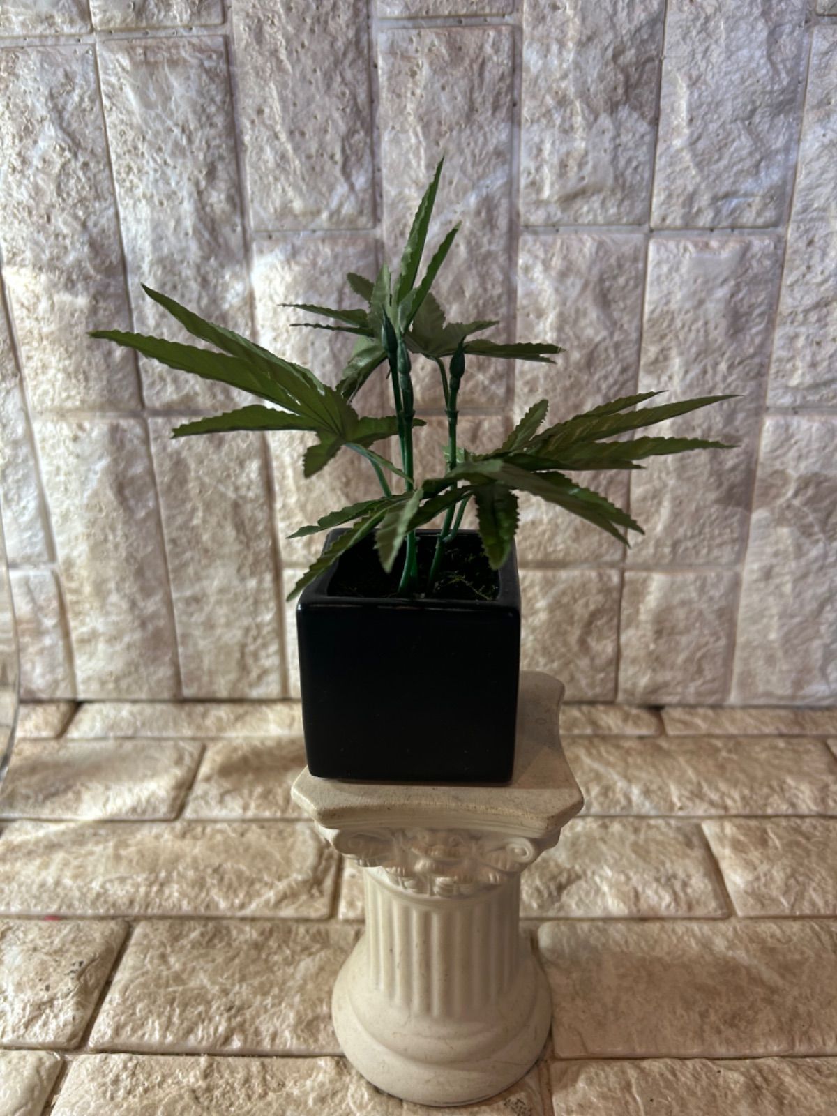 光触媒 人工観葉植物 マリファナ 草 大麻 CBD 123 - メルカリ