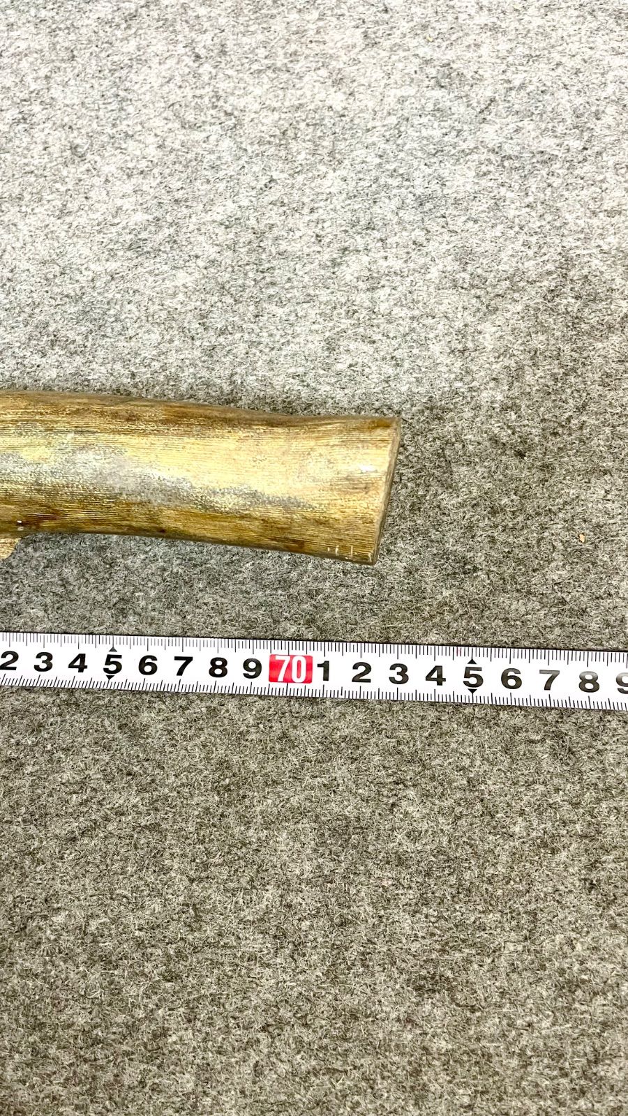 大きめ 深海松 天然 海松 レインボーコーラル 希少 重量約2.5kg 全長約