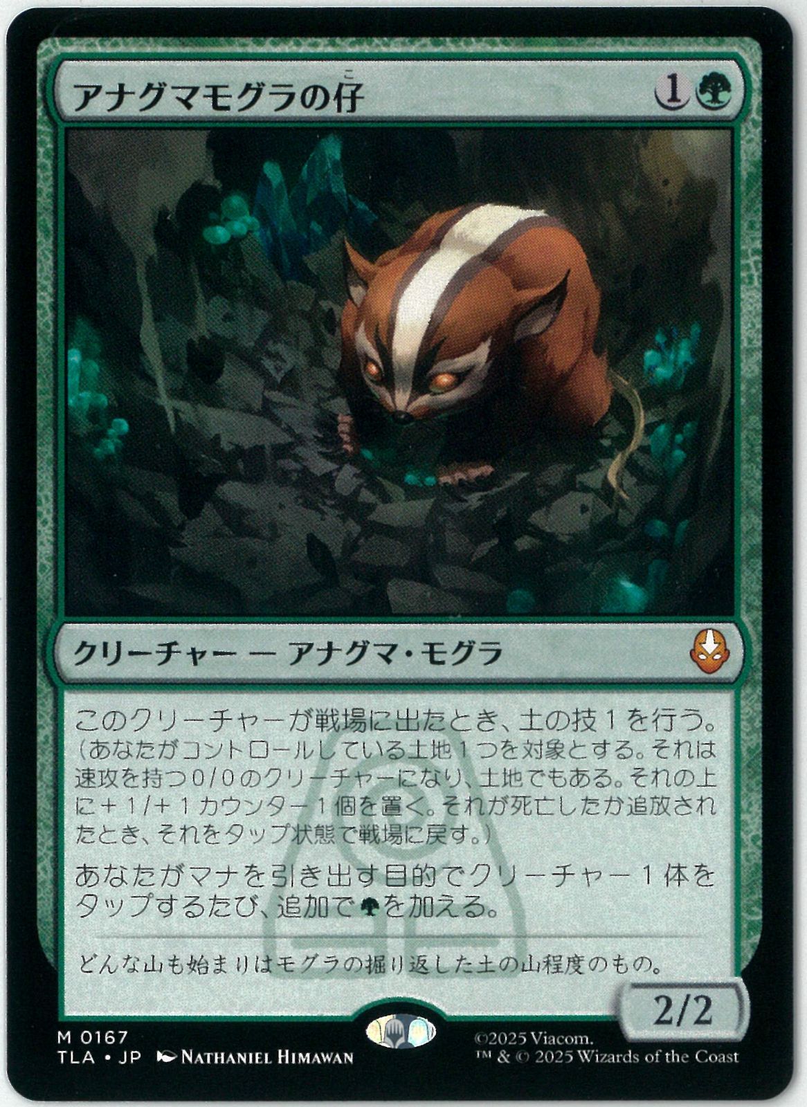 アナグマモグラの仔 英語 4枚セット アナグマモグラの仔⁄Badgermole