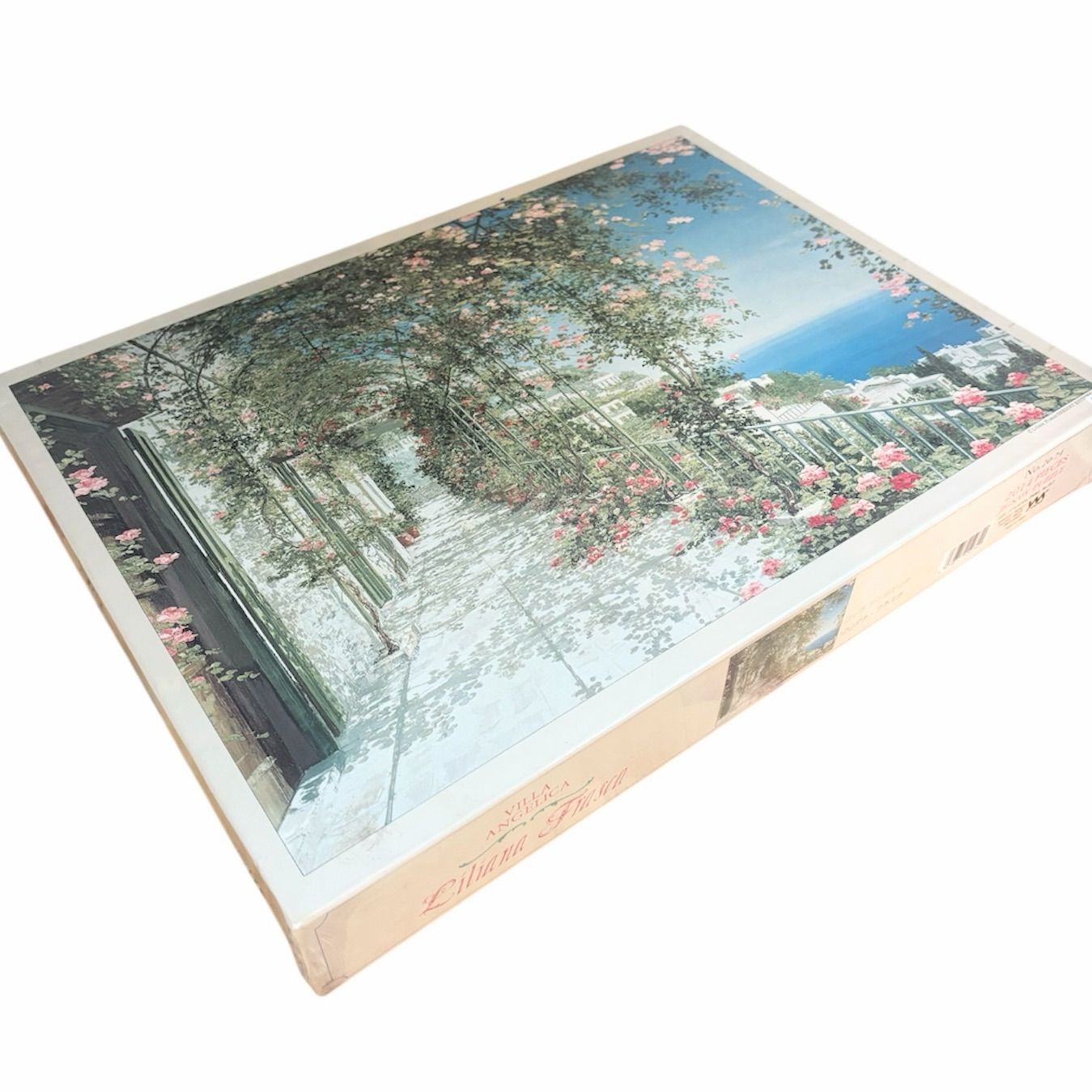 リリアナ・フラスカ ロック オブ モナコ ジクソーパズル 1000ピース 未