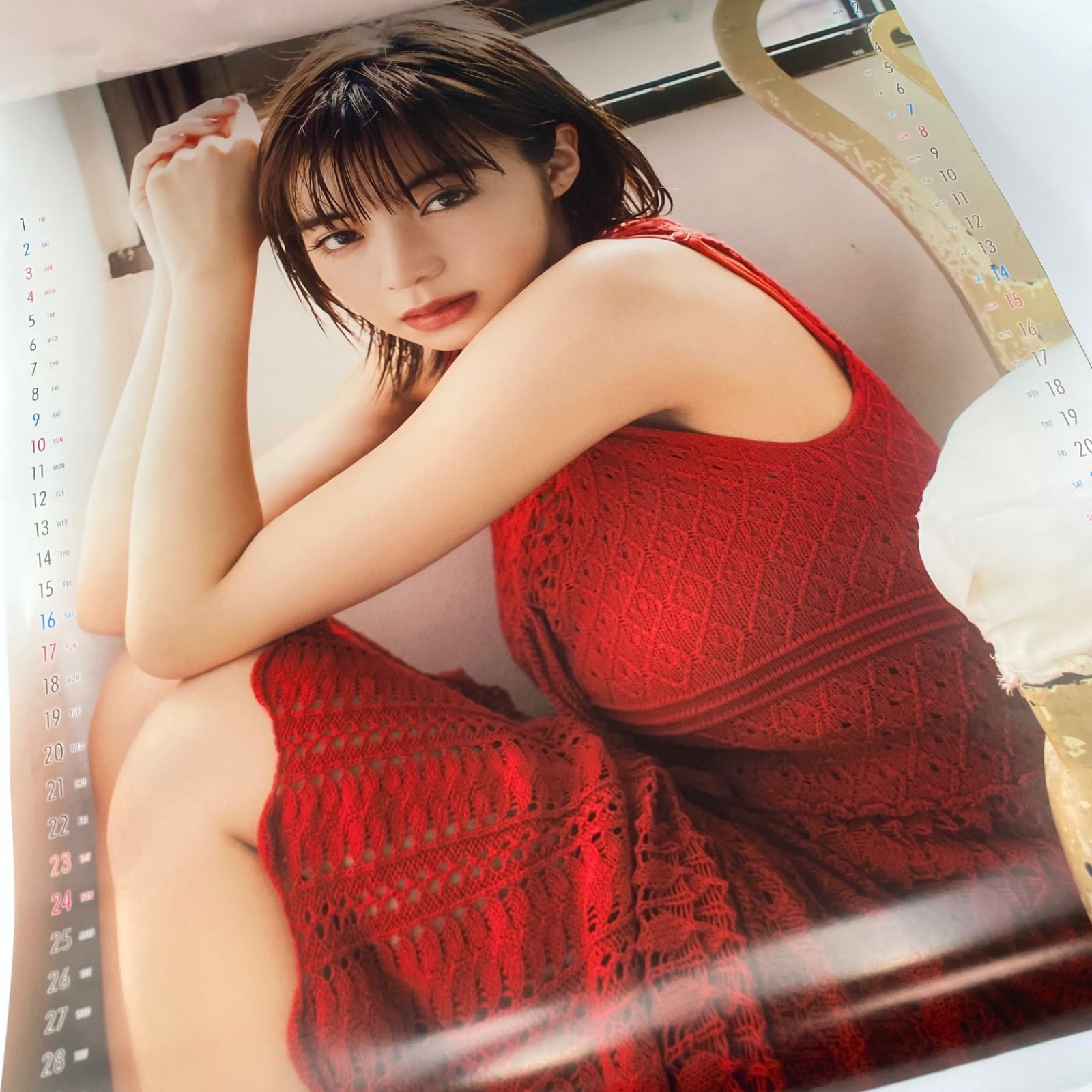 激レア【新品】池田エライザ 2019 カレンダー ポスター サイン入り B2