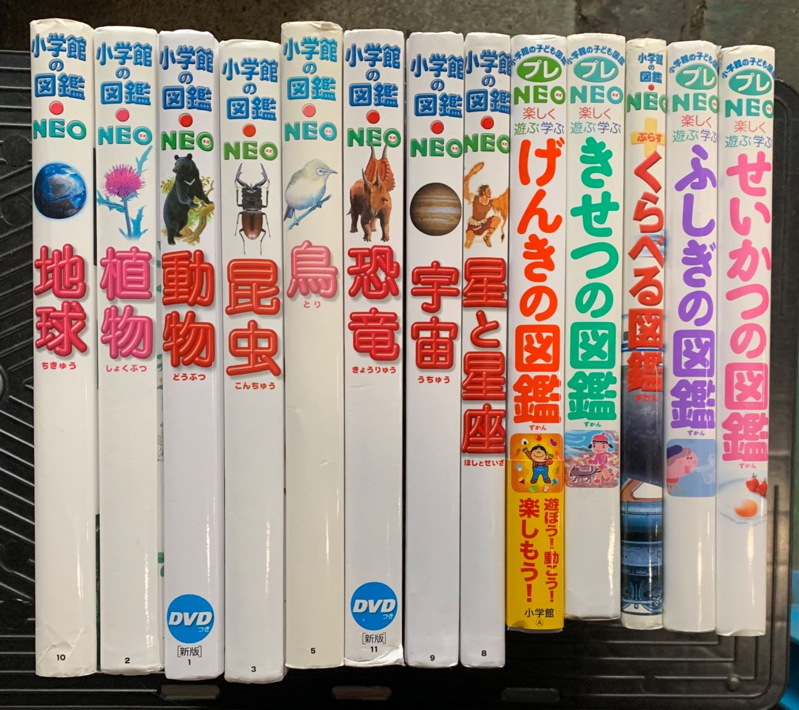 プレネオ プレNEO 11冊 全巻 図鑑 小学館 図鑑NEO プレNEO 11冊セット