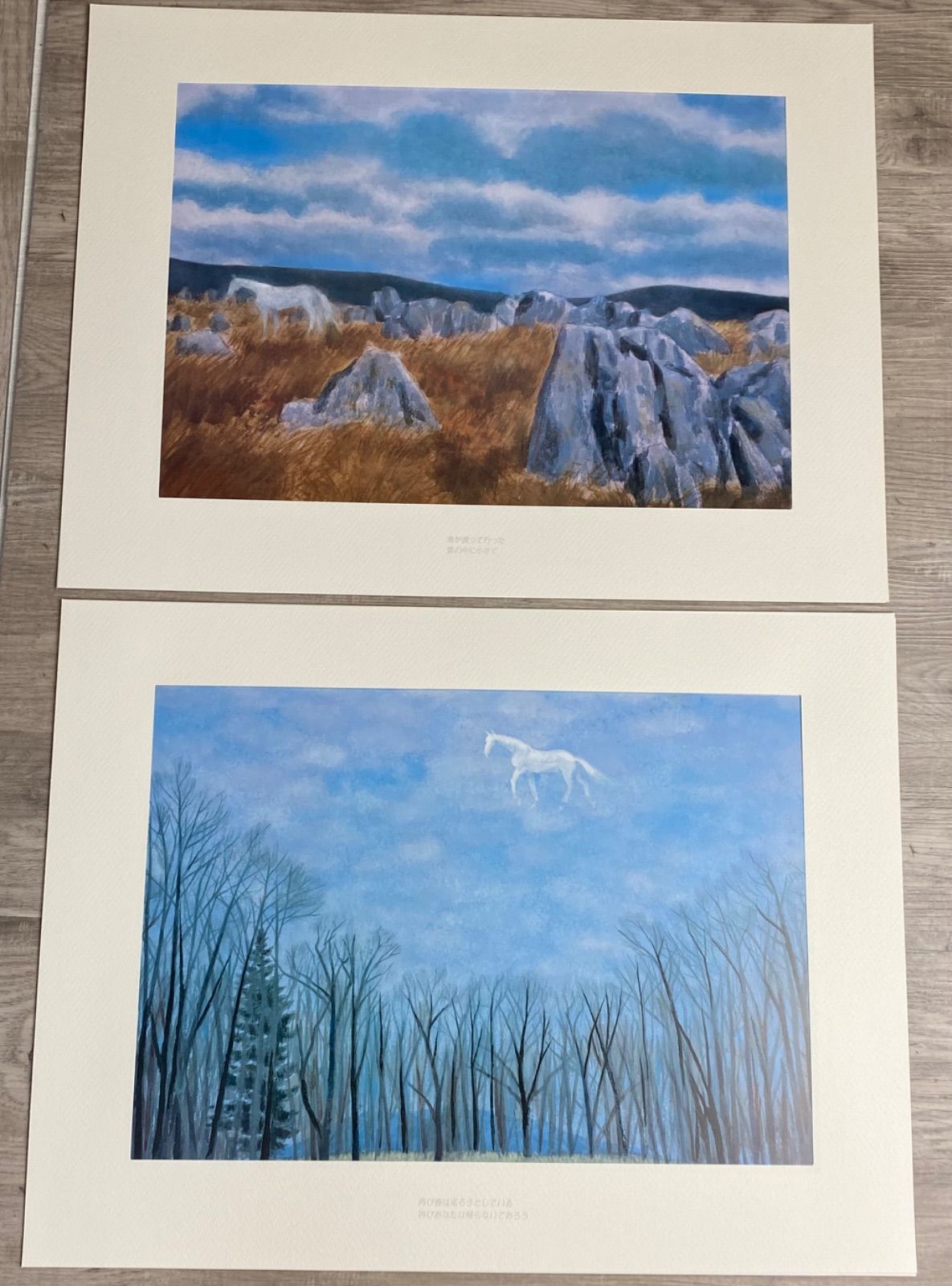 東山魁夷 画集『白馬幻想』 白馬幻想: 心の風景より | 東山 魁夷 |本