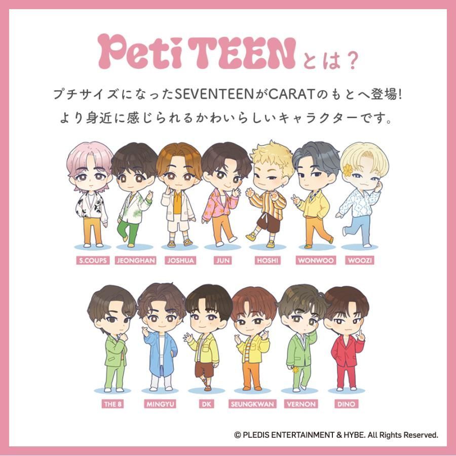 5種セット】SEVENTEEN PetiTEEN VERNON バーノン 公式品 推し活 グッズ