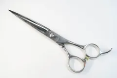 2026年最新】光 シザー レイコスモスの人気アイテム - メルカリ