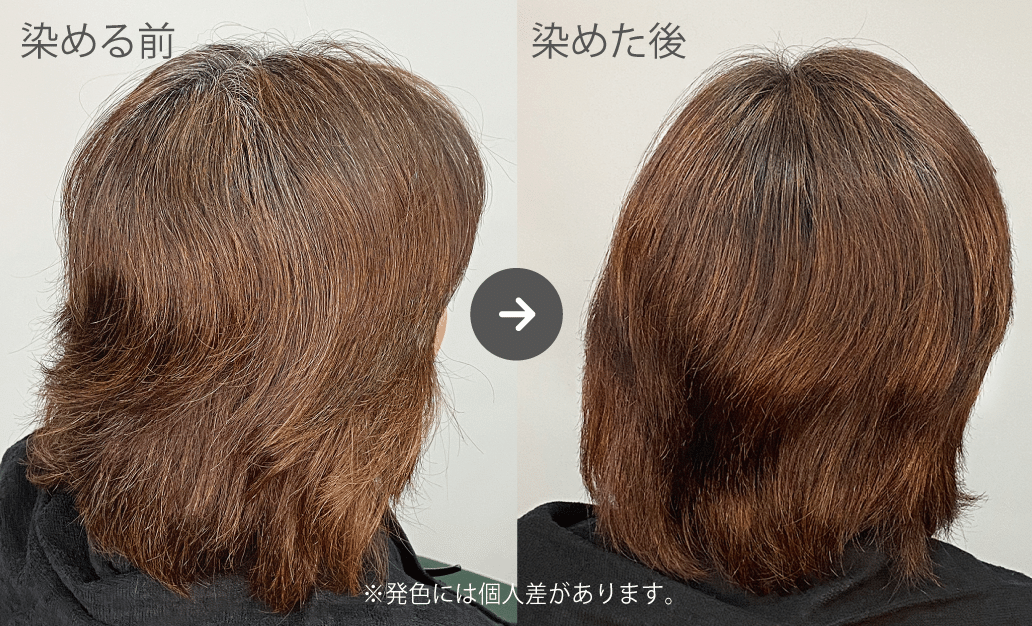 クイーンズヘナ クィーンズヘナニューブラウン2袋 ニューブラウン 2袋