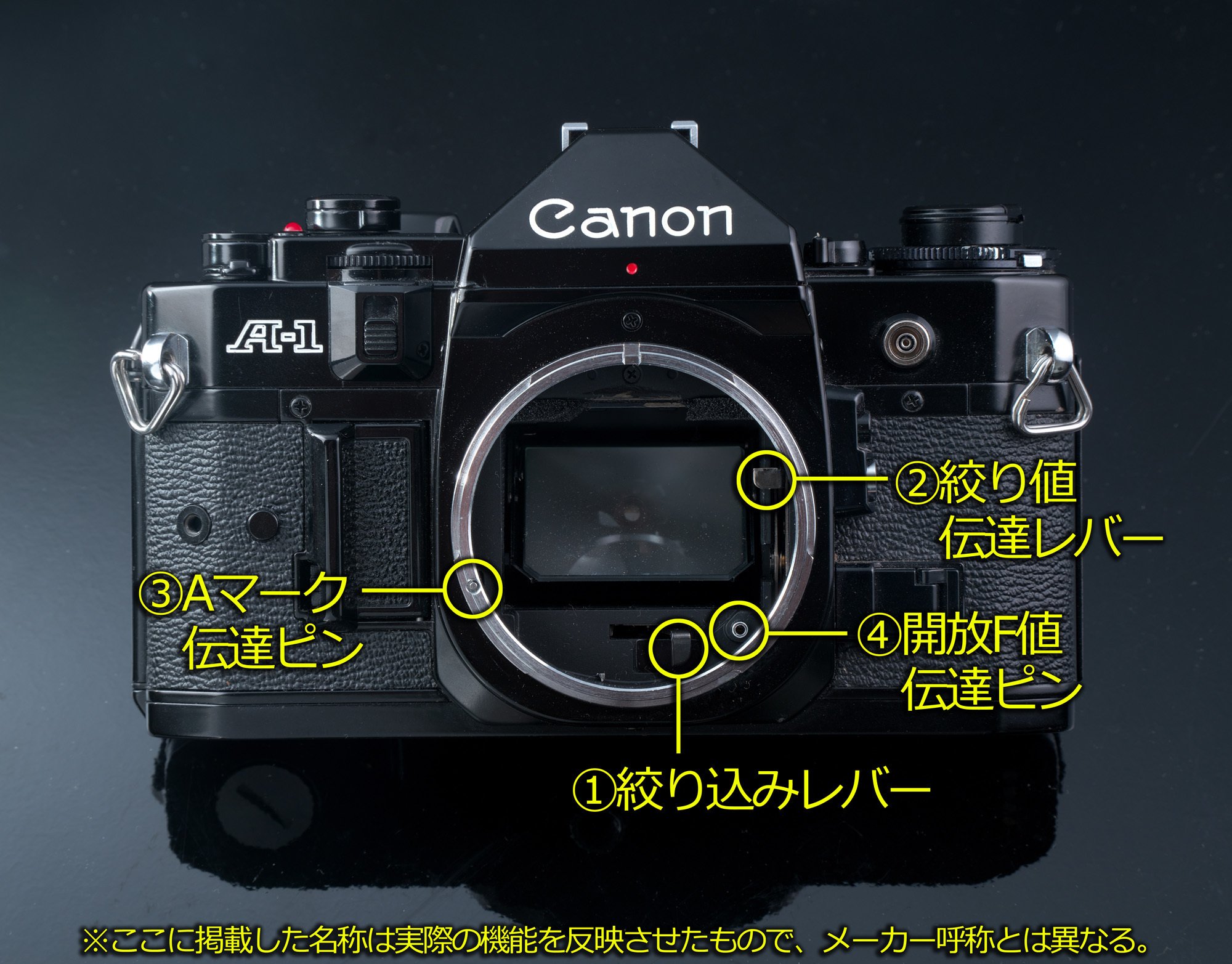 今、Canon A-1を振り返る｜フユキ／西川冬旗