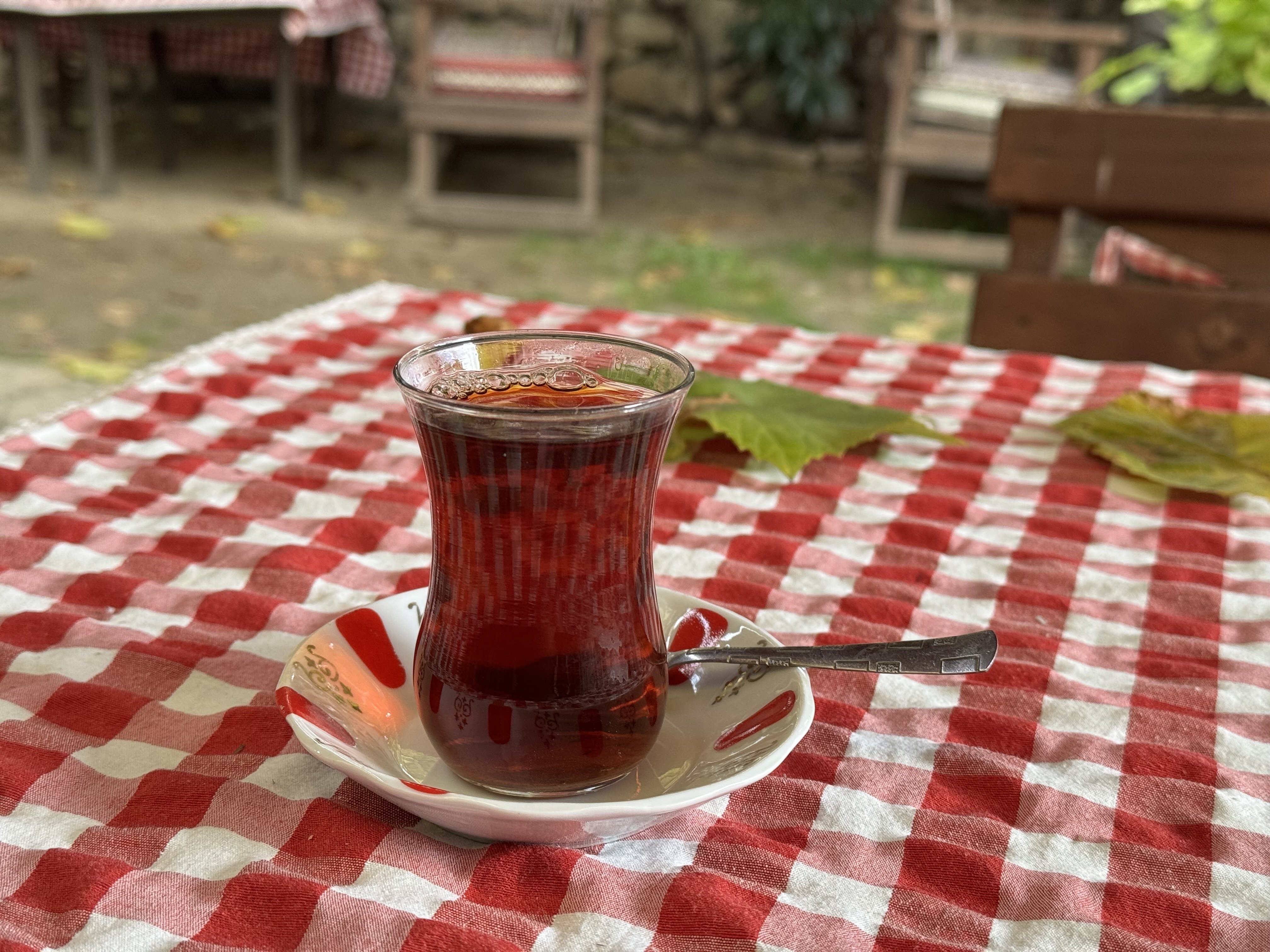 トルコの旅で心惹かれたのは、たった一杯のチャイだった｜手塚 大貴