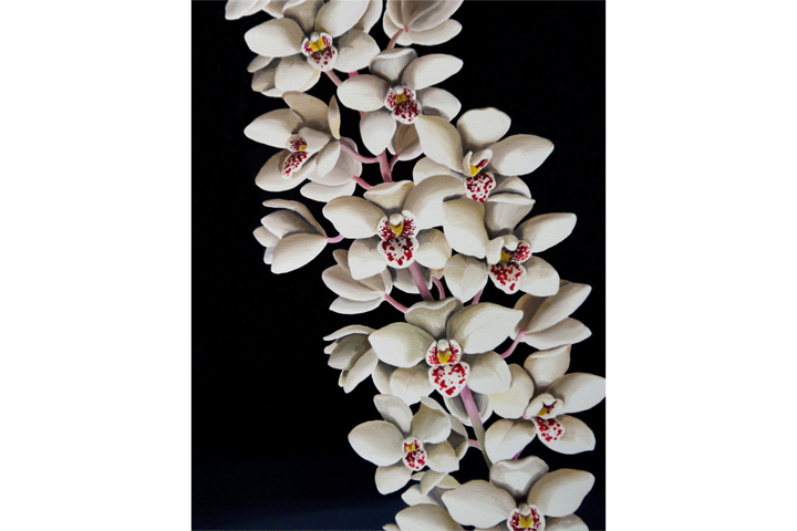 新進気鋭の作家・長谷川由貴作品が銀座を彩る / 植物を描くこと