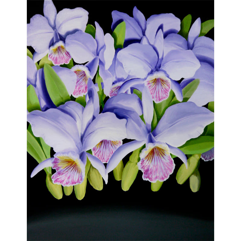 新進気鋭の作家・長谷川由貴作品が銀座を彩る / 植物を描くこと