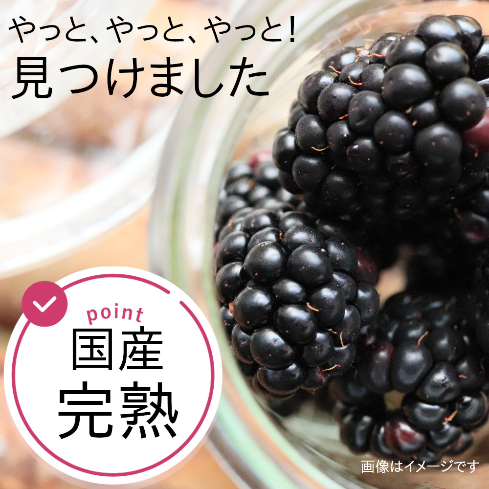 送料無料】山口さんのブラックベリー 冷凍 新潟県阿賀町産 1.5kg
