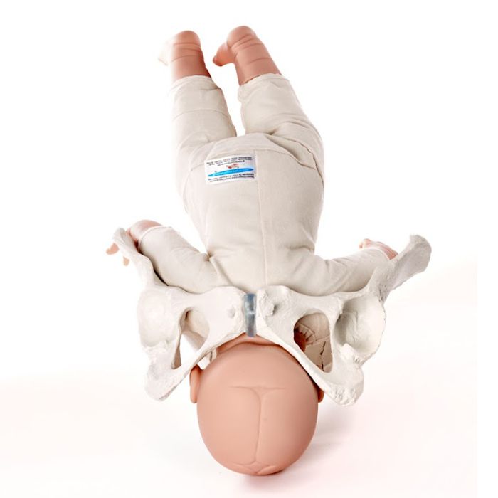 両親教室や子育て支援講座での分娩教材用のセット 赤ちゃん人形の専門