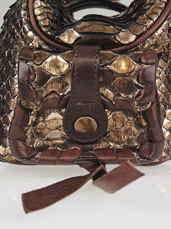 Chloe Bronze Python Skin Mini Silverado Bag | Yoogi's Closet