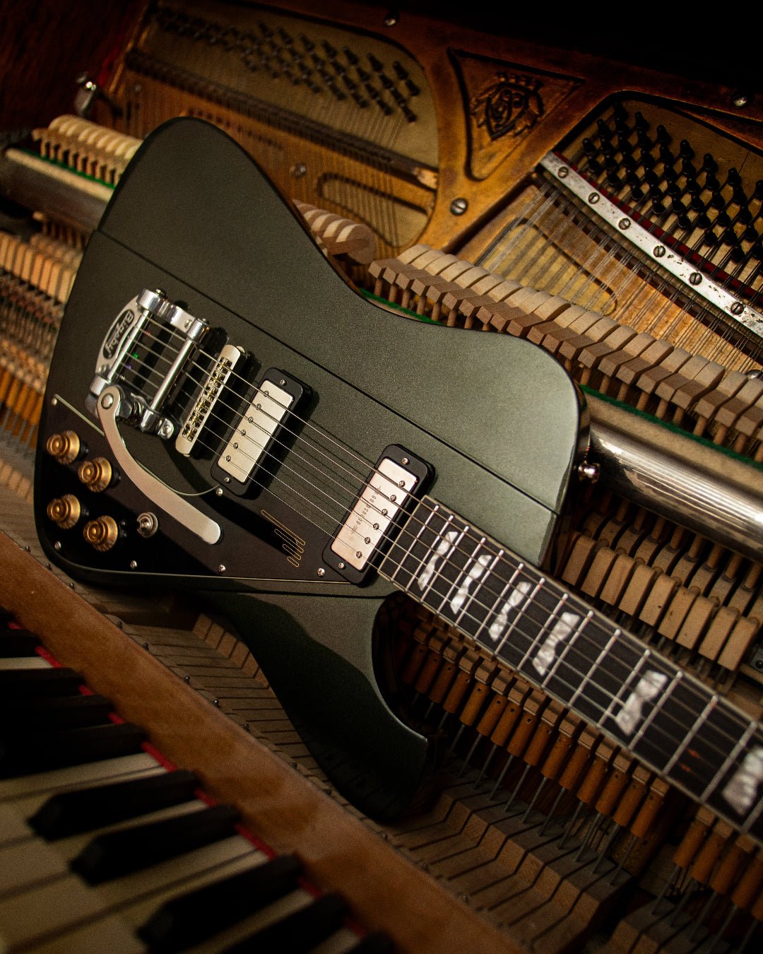 Backwing - Deep Forest