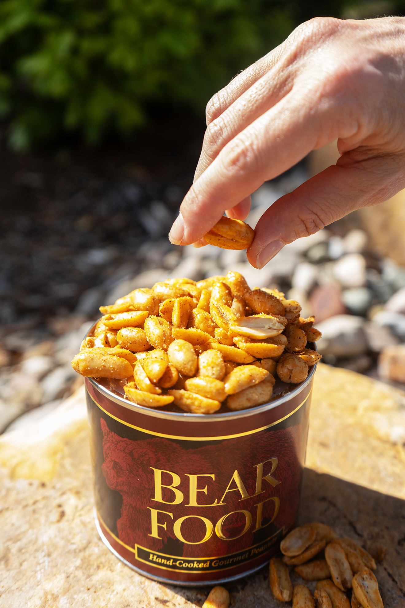 Cajun Spiced Gourmet Peanuts Virginia & Charlotte NC – Bear Food LLC