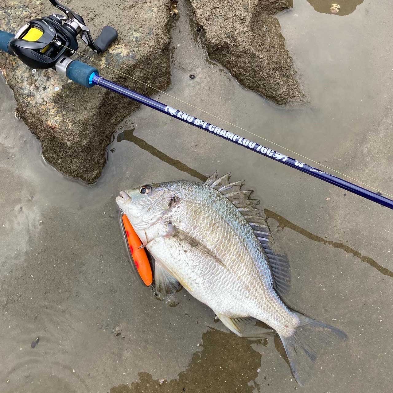 ENO B×T Champloo 76｜ジギング・ルアー・ロッド｜Boggy（ボギー）